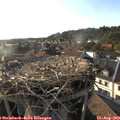 18_30-nest.jpg