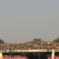 18_35-mast.jpg