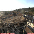 18_40-nest.jpg