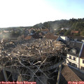 18_45-nest.jpg