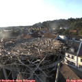 18_50-nest.jpg