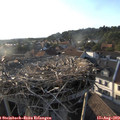 18_55-nest.jpg