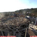 19_00-nest.jpg