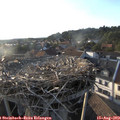 19_05-nest.jpg