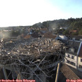 19_10-nest.jpg