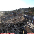 19_15-nest.jpg