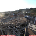 19_25-nest.jpg