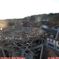 19_45-nest.jpg