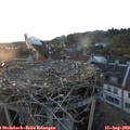 20_00-nest.jpg