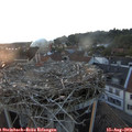 20_05-nest.jpg