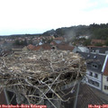 06_25-nest.jpg