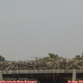 06_30-mast.jpg