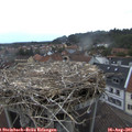 06_30-nest.jpg