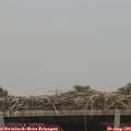 06_35-mast.jpg