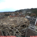 06_35-nest.jpg