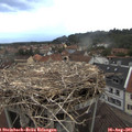 06_40-nest.jpg