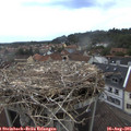 06_50-nest.jpg