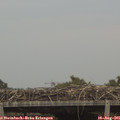06_55-mast.jpg