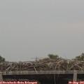 07_00-mast.jpg
