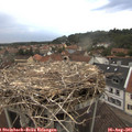 07_00-nest.jpg