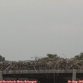 07_05-mast.jpg