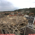 07_05-nest.jpg
