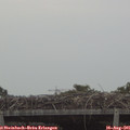 07_10-mast.jpg