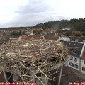 07_10-nest.jpg