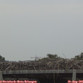 07_15-mast.jpg