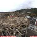 07_15-nest.jpg