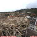 07_20-nest.jpg