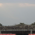 07_25-mast.jpg