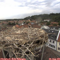 07_30-nest.jpg