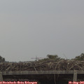 07_35-mast.jpg