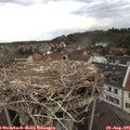 07_35-nest.jpg