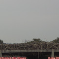 07_40-mast.jpg