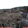 07_40-nest.jpg