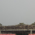 07_55-mast.jpg