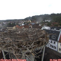 08_00-nest.jpg