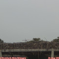 08_05-mast.jpg