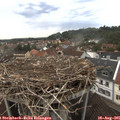 08_25-nest.jpg