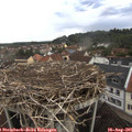 08_30-nest.jpg