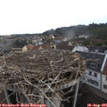 08_35-nest.jpg