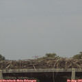 08_40-mast.jpg