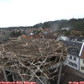 08_40-nest.jpg