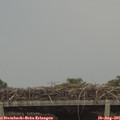 08_50-mast.jpg