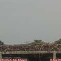 08_55-mast.jpg