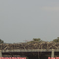 09_00-mast.jpg