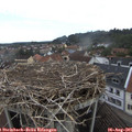 09_15-nest.jpg