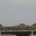 09_20-mast.jpg